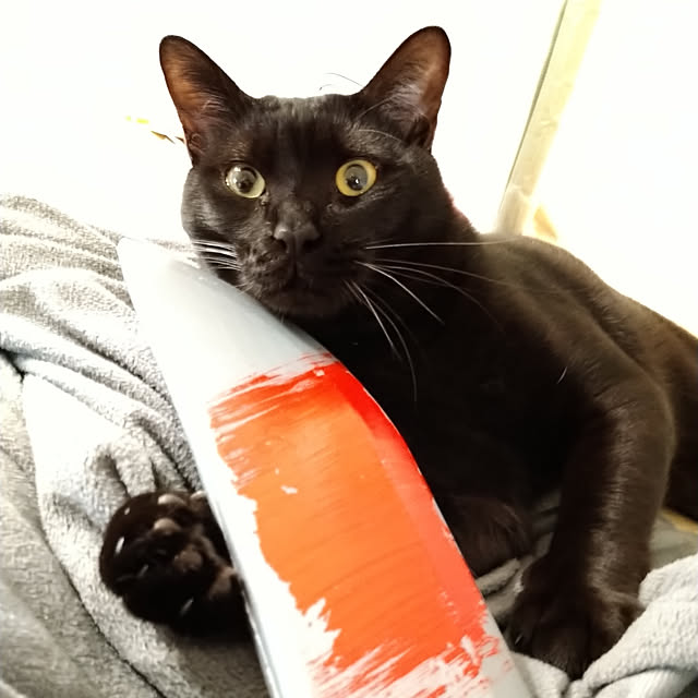 Tさんの実例写真