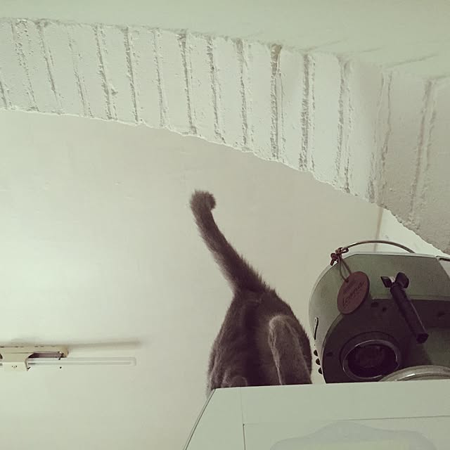 SeunghunHanさんの実例写真