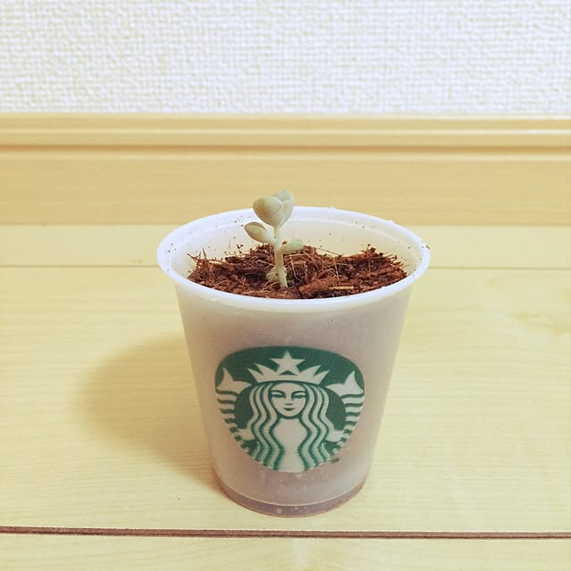 namnaoさんの実例写真