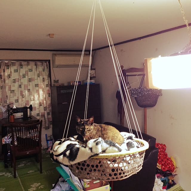 mayaさんの実例写真