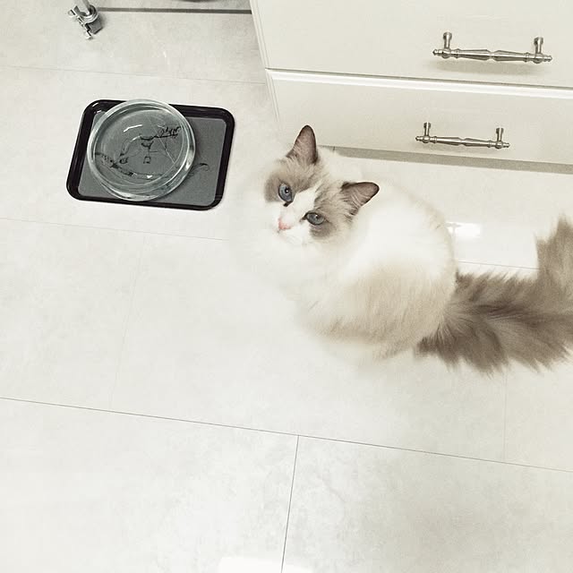 yuchiさんの実例写真