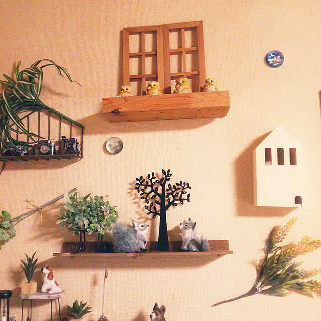 Tomopさんの実例写真