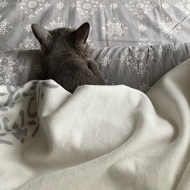 73さんの実例写真