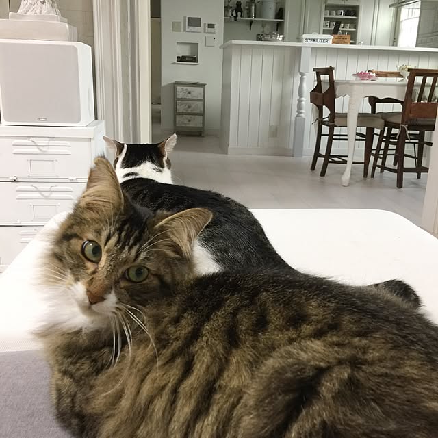 yuchiさんの実例写真