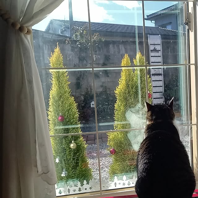 civicglさんの部屋