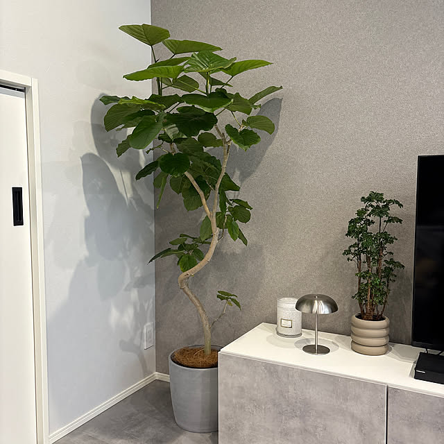 pucuqさんの実例写真