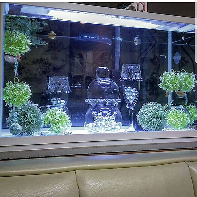 ...t_m_eee...さんの実例写真