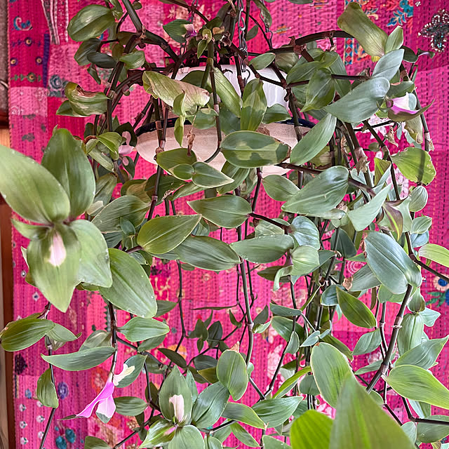 shin0719さんの部屋