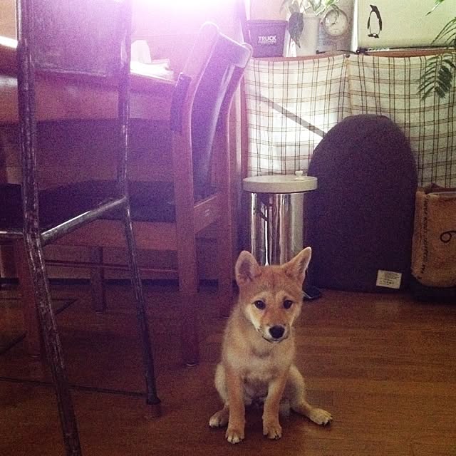 botanさんの実例写真