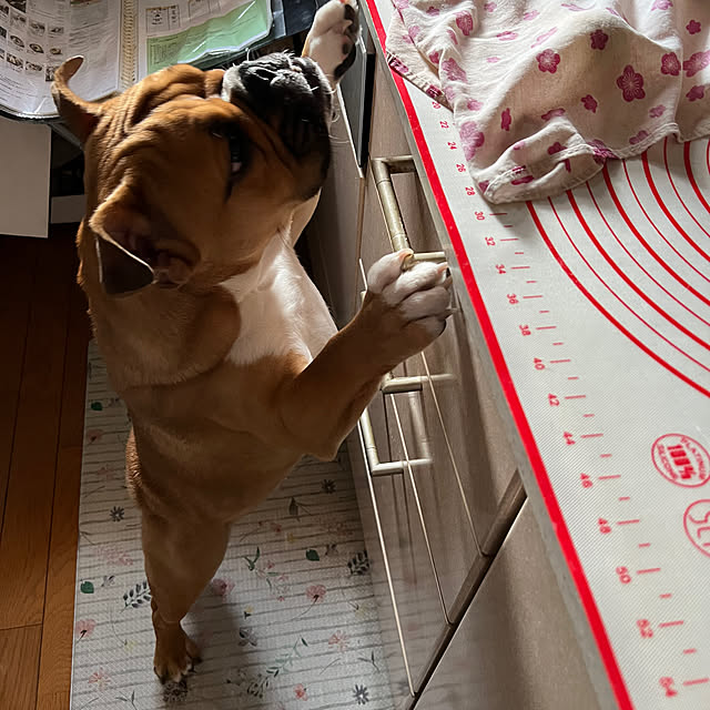chi_gogaさんの部屋