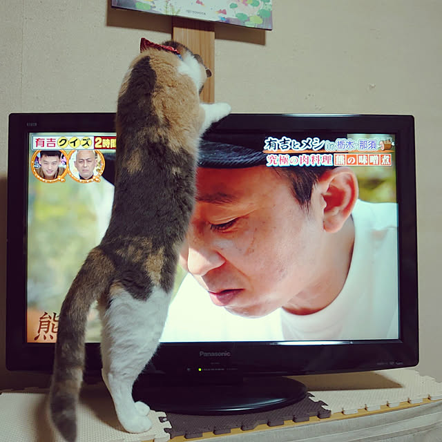 fukuさんの実例写真