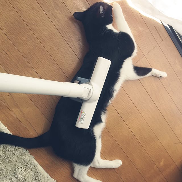 Kinanさんの実例写真