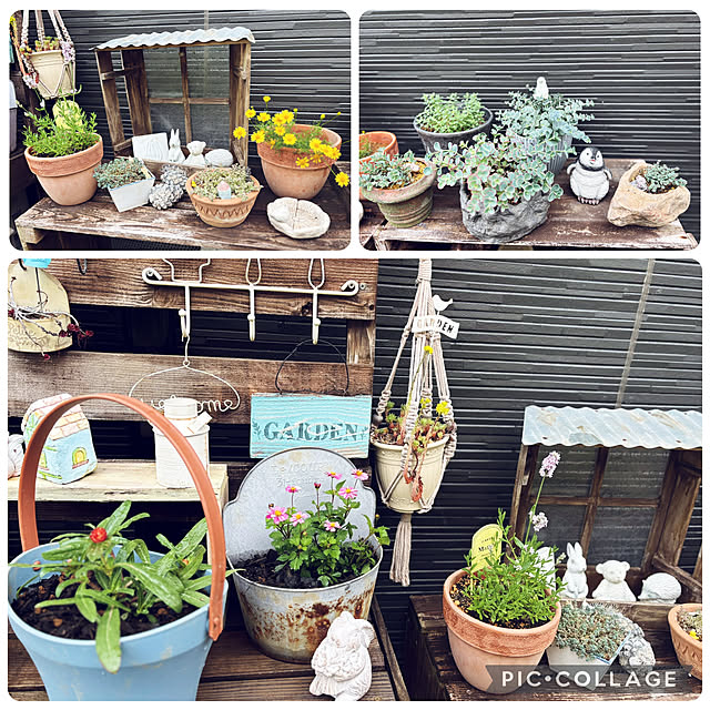CoCo0617さんの部屋