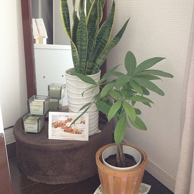 部屋全体のインテリア実例 - 2013-05-18 11:27:58