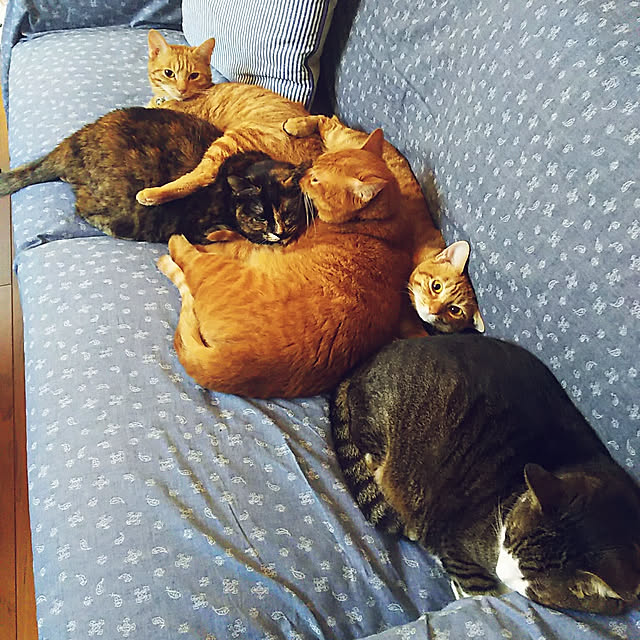 37さんの実例写真