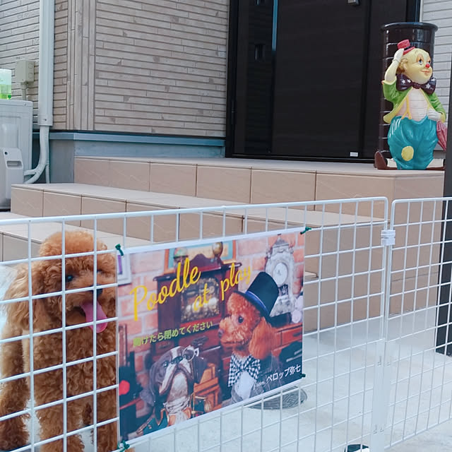 Samさんの実例写真