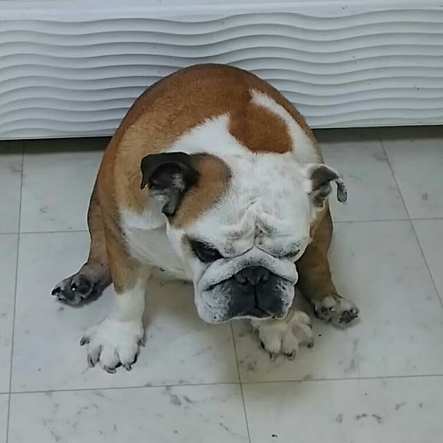 AandPさんの実例写真