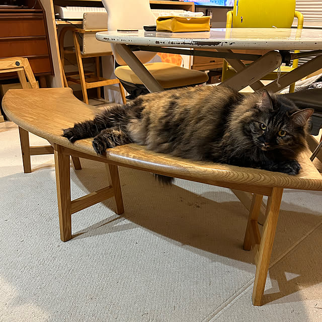 mikomaruさんの部屋