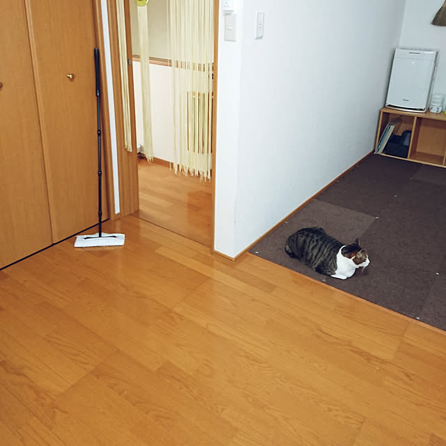 nachiさんの実例写真