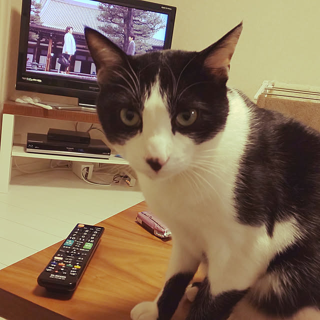 oseroさんの実例写真