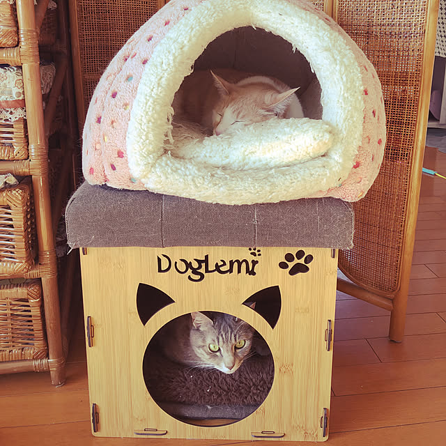 naworinさんの実例写真