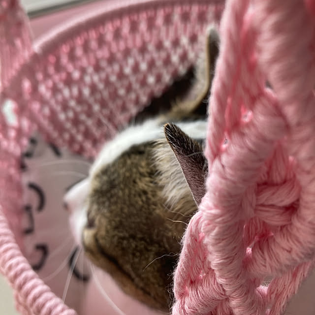 miyukiさんの実例写真