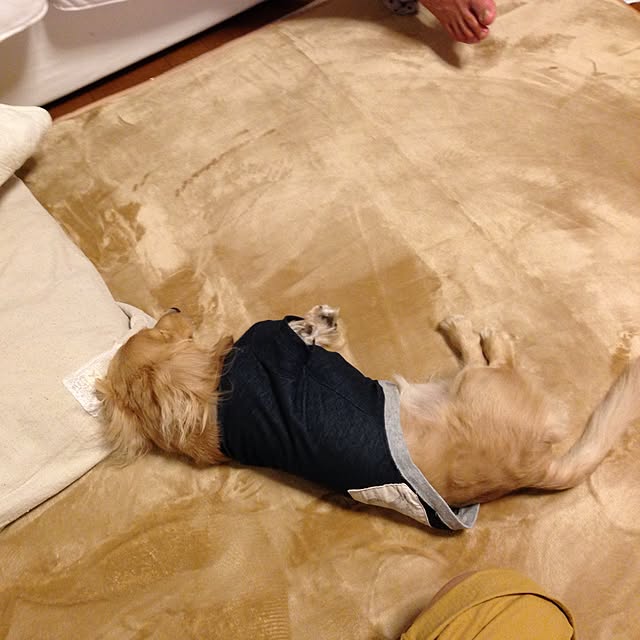 keikoさんの実例写真