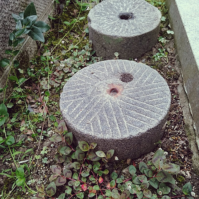 monblanさんの実例写真