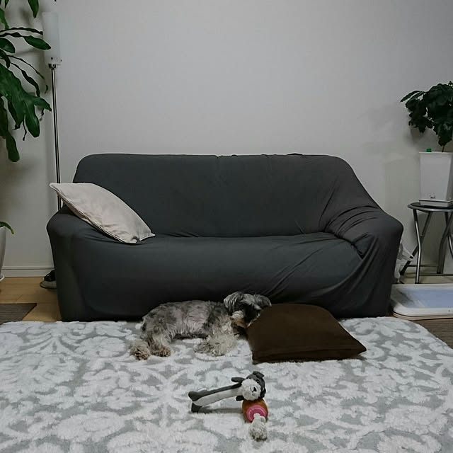 vivianさんの実例写真