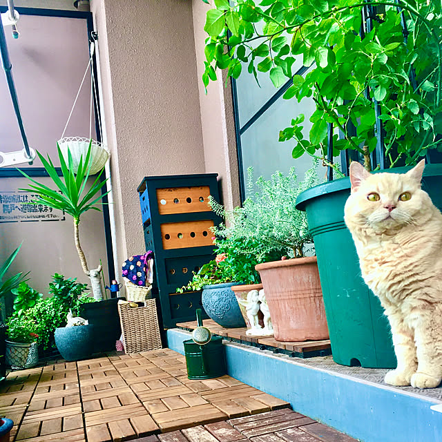 naokoさんの部屋