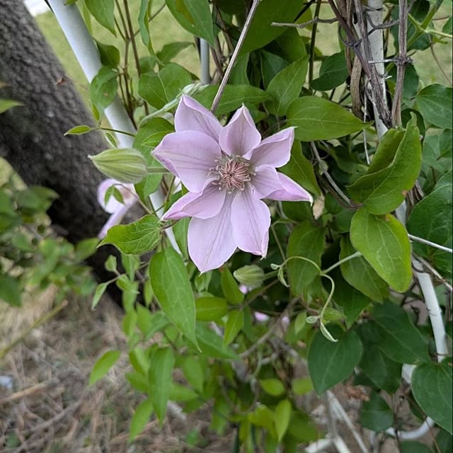 minnieさんの部屋