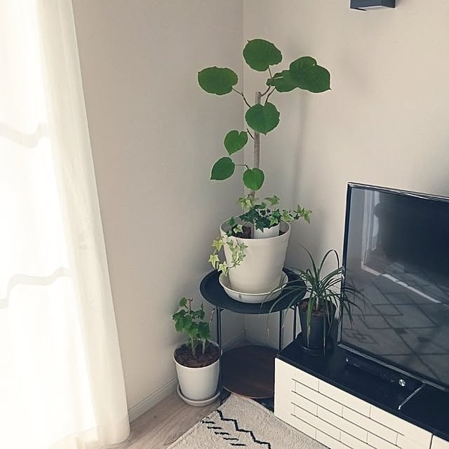 kaanaさんの実例写真