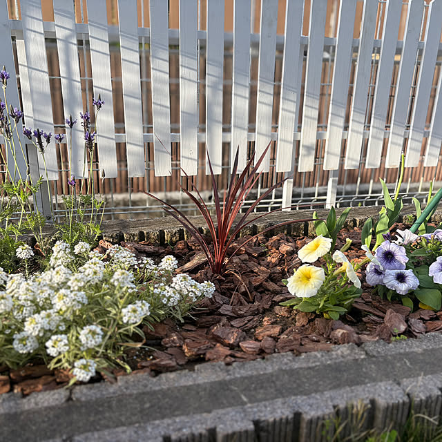 Haruさんの実例写真