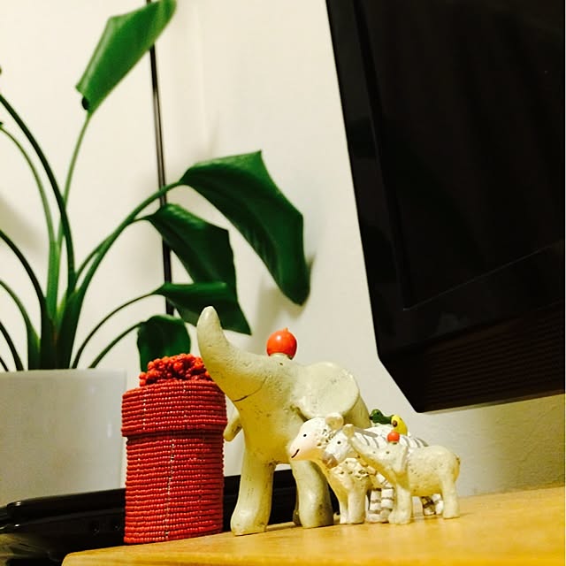 kdnさんの実例写真