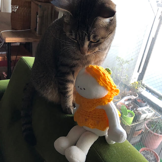 mikomaruさんの実例写真