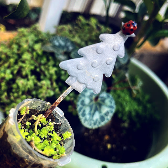 Ohigeさんの実例写真