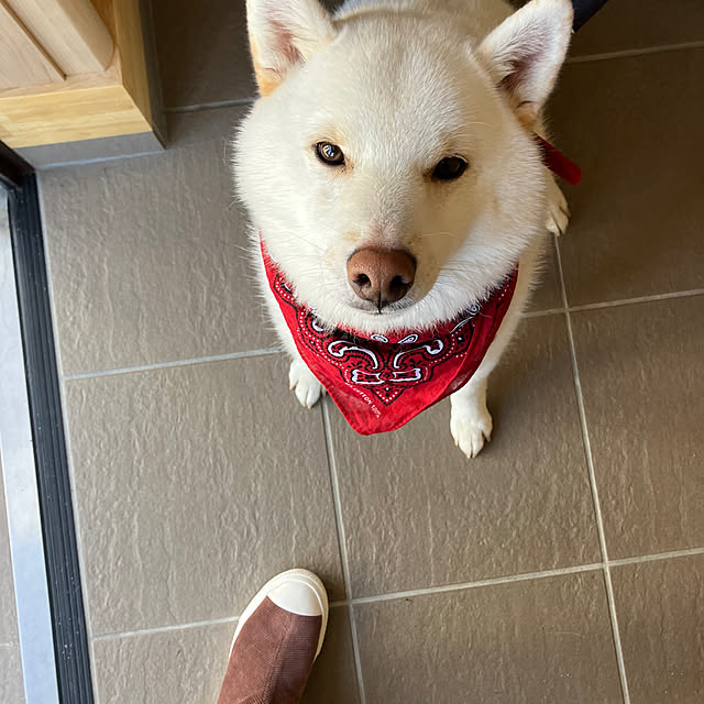 Nagakoさんの実例写真