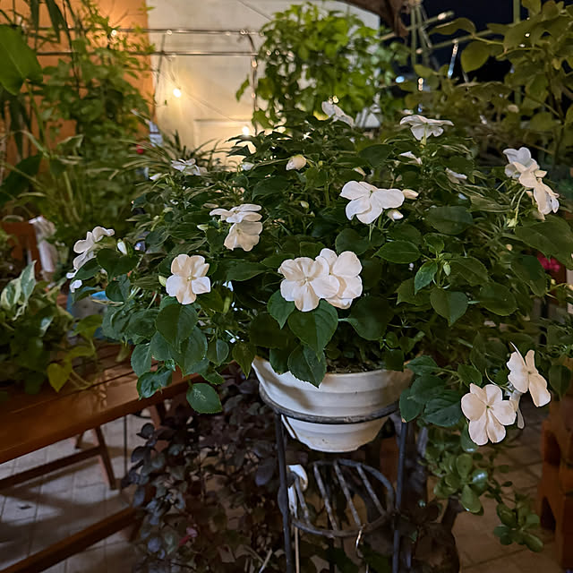 Aqettyさんの部屋