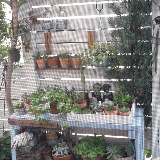 383junkさんの実例写真