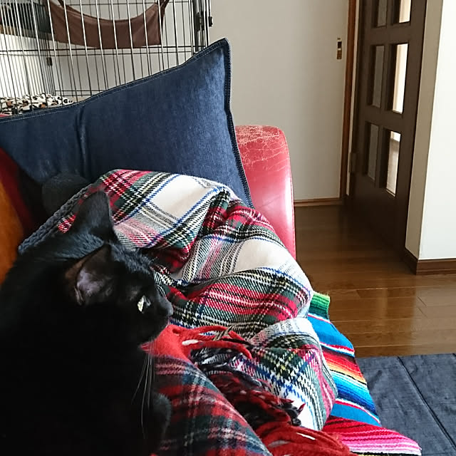 Kさんの実例写真