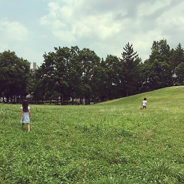 実例写真