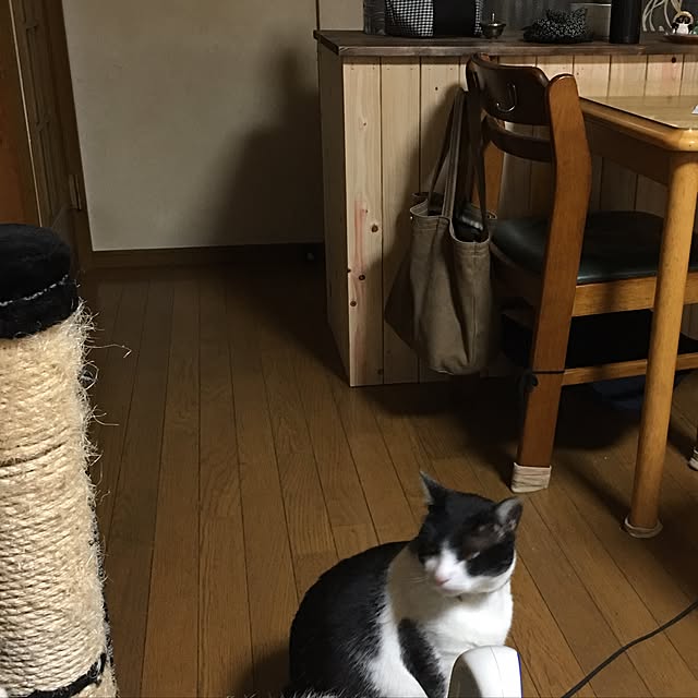 kmakkyiさんの実例写真