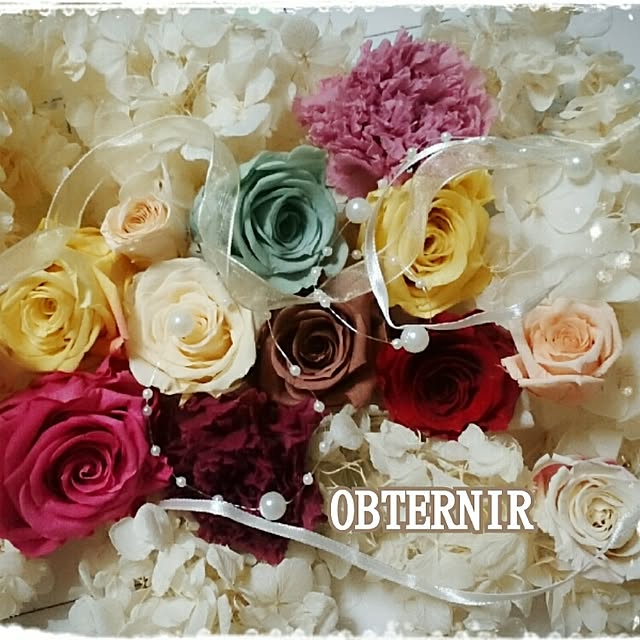 OBTERNIR88filerさんの実例写真