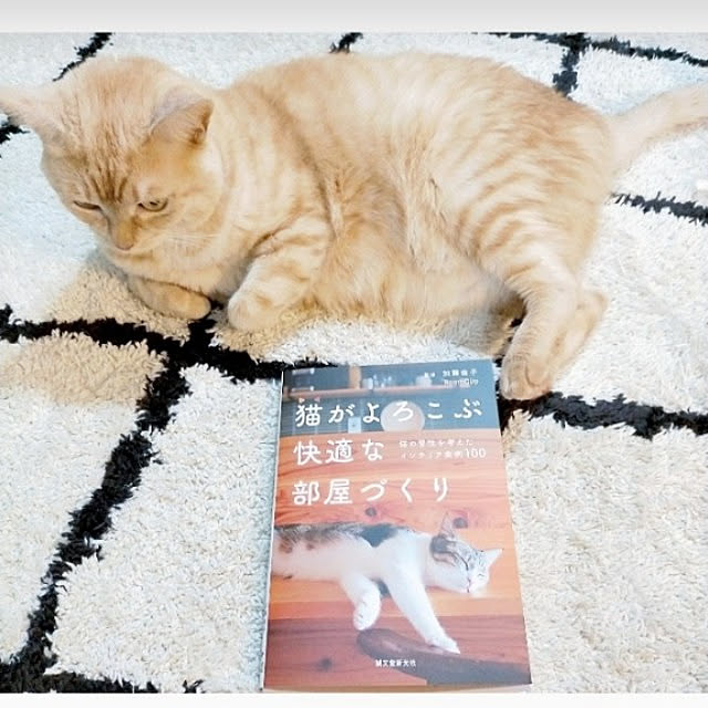 heart.emiemi57.whiteさんの実例写真
