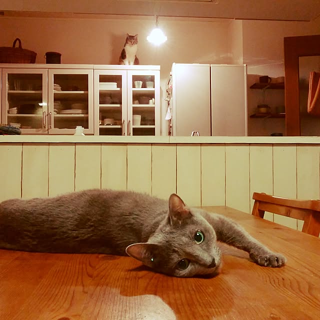 tomo1220さんの実例写真