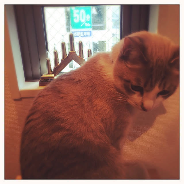 Fukafkaさんの実例写真