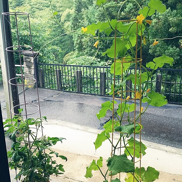 hana.1321jpさんの実例写真