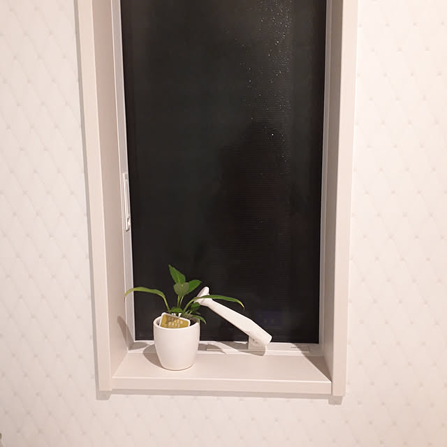 mikaさんの実例写真
