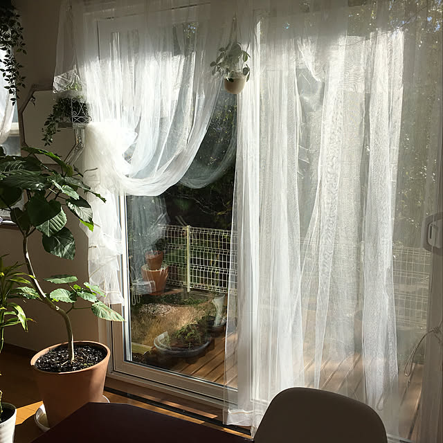 lilybellyuri12さんの実例写真