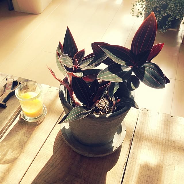 MMさんの実例写真